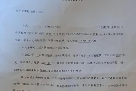 郫县如何避免债务纠纷？专业追讨公司教您应对之策